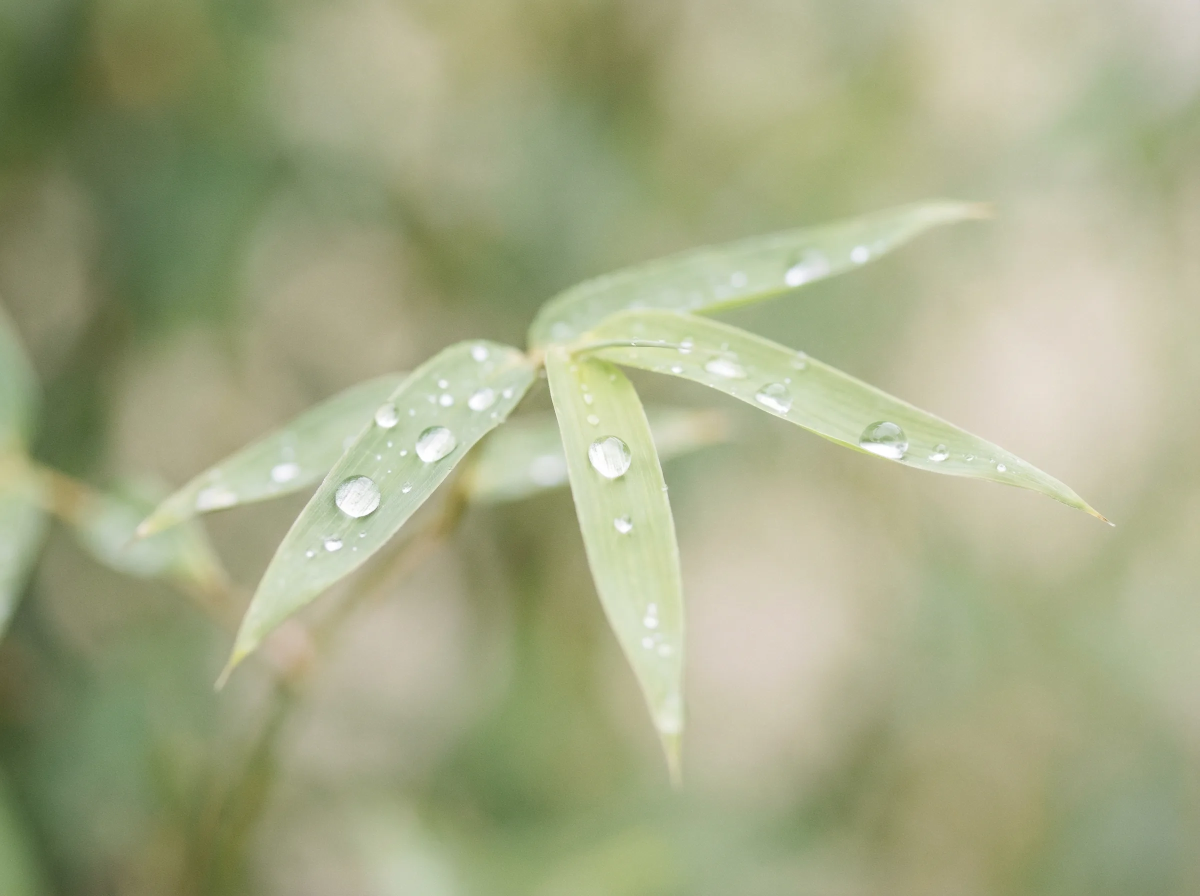 澳洲pk10 APP自然过滤移动体验